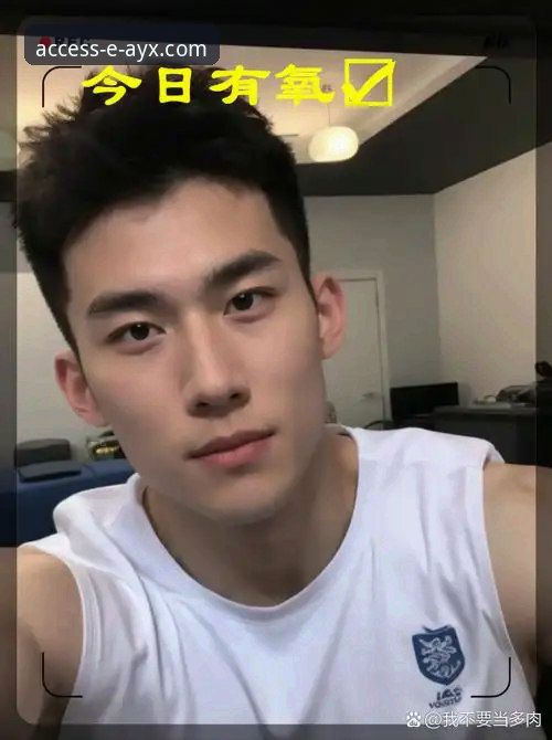 为什么AYX官网下载是体育爱好者的明智之选？深度解析平台优势与操作指南